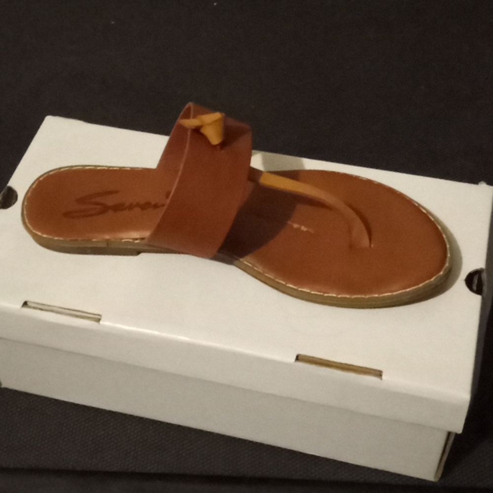 Summer sandals/thongs